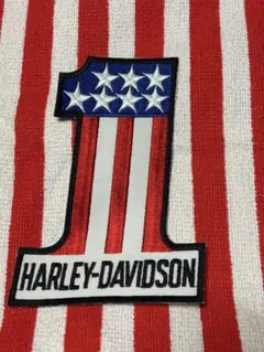 ワッペン 特大 ビンテージ