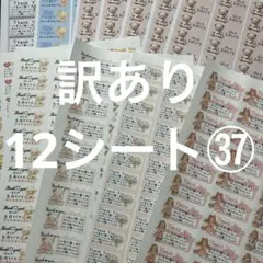 サンキューシール　ほんの気持ち　訳あり12シート