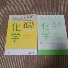 化学 2025 共通テスト実力完成直前演習 問題集　ベネッセ　即納