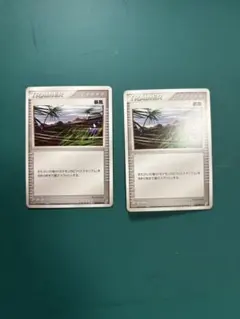 ポケモンカード　adv pcg暴風2枚