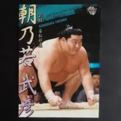 大相撲 一山本大生 サイン入りカード - メルカリ