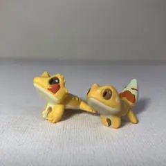 クレステッドゲッコー