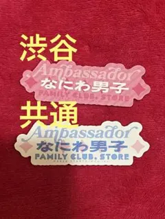 なにわ男子 ファミクラストア 渋谷限定 共通 フレークシール ロゴ 2種セット