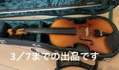 2026年最新】バイオリンケース 1/4の人気アイテム - メルカリ