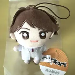 ハイキュー!!　ぬいぷりけmini　〜制服 vol.1〜　及川徹　マスコット