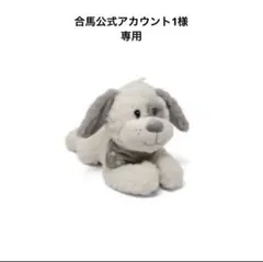 合馬公式アカウント1様専用ページです