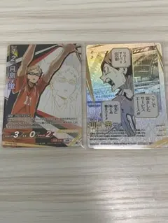 ハイキュー バボカ 山口 頂P