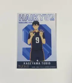 ハイキュー!! 烏野高校フェア 特典 ビジュアルカード（影山飛雄）