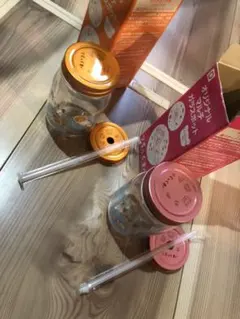 Item thumbnail for item 9d1a3210-4448-4079-90f4-e94a3578b389