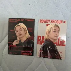 ✩ランペ 山本彰吾 BOT トレカ フォトカ セット THE RAMPAGE✩ - メルカリ