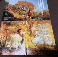 ④ ポポロ　1996 切り抜き　光GENJI 佐藤敦啓　佐藤アツヒロ