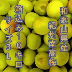 値下げ対応可能❗️】箱込み10kg 青梅 M、Lサイズ中心 - メルカリ