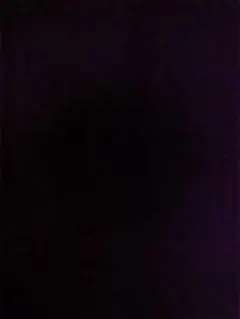 イッヌのカードショップ様専用