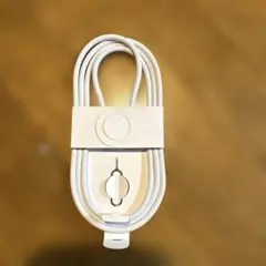 新品 Apple純正 USB-C充電ケーブル(編み込み式)