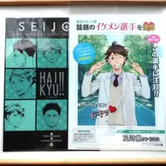 ハイキュー!! 及川徹 岩泉一 クリアファイル 激レア - メルカリ