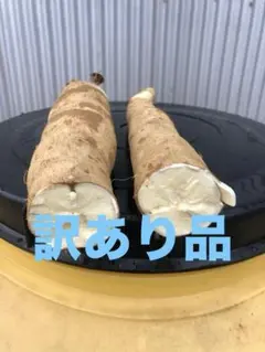 徳之島産キャッサバ生芋訳あり品20キロ入り訳あり品の為商品説明書を 