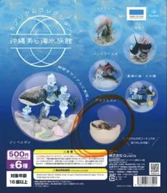 沖縄美ら海水族館 カプリウムコレクション アオウミガメ ガチャ