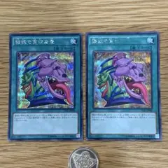 強欲で貪欲な壺 クオシク 25th - メルカリ