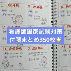 【看護師国家試験】頻出まとめ付箋300枚以上　多すぎて覚えられない人に◎