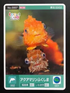 ガッツん様 リクエスト 2点 まとめ商品