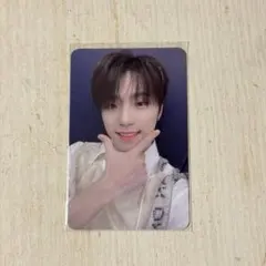 ディノ ヨントン トレカ