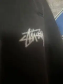 Stussy スウェットのサムネイル