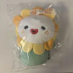 Bira ビラ ぬいぐるみ 商品詳細ページ | JO1 OFFICIAL STORE | オリジナルカード付き