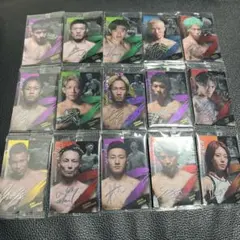 RIZINウエハースカード、朝倉未来入り サイン入り格闘技選手カード15枚セット