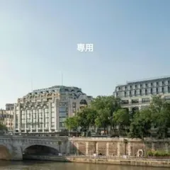 専用出品