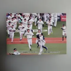 2024 Calbee プロ野球カード チェックリスト C-02