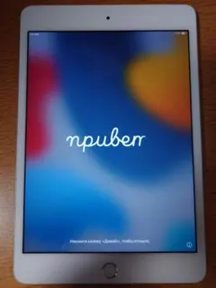 iPad mini 第4世代 64GB WiFi+Cellular