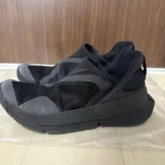 ゴー　フライイーズ