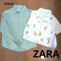 ZARA 長袖 半袖シャツ 152cm まとめ売り　美品