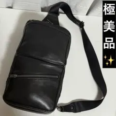⭐️極美品⭐️　ラゲッジレーベル　エレメント　ショルダーバッグ　ブラック