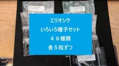 2026年最新】エリオシケの人気アイテム - メルカリ