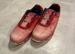 Item thumbnail for item 016b88b6-7313-4867-a91b-d641130db3cf