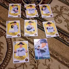 阪神タイガース2026ルーキー選手カードセット