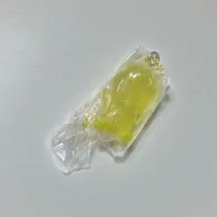 SKZOO グミ&チャーム BbokAri　ポガリ