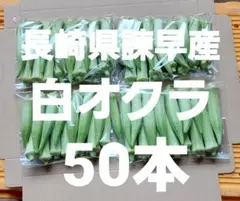①長崎県諫早産白オクラ50本のサムネイル