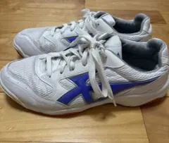 （美品）moonstar 27cm 体育館シューズ