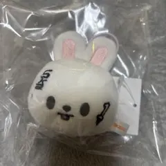 skzoo KARMA ポップアップ ネームタグ リービット