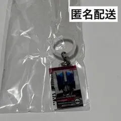 仮面ライダー　めじるしアクセサリー3 仮面ライダーディエンド　ライダーカード