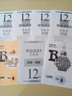 makoyu様 リクエスト 2点 まとめ商品