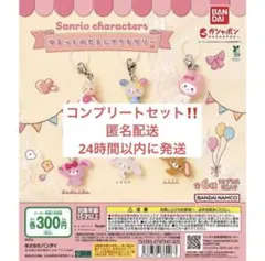 サンリオキャラクターズ　ゆるっとめじるしアクセサリー　コンプリート