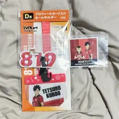 みんなのくじ　アニメ『ハイキュー!!』　グッズコレクション セット