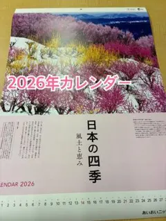 Item thumbnail for item 50967873-fa95-4acc-bc0f-ad7936e331d2