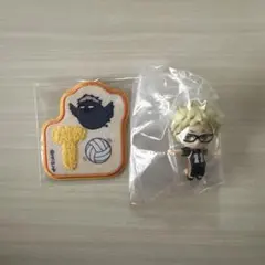 ハイキュー 月島蛍