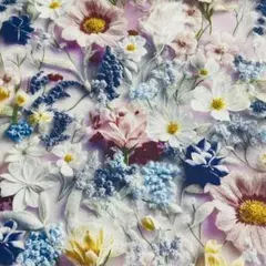 ❣️ひーちゃん☆ ☆☆様 リクエスト 2点 まとめ商品