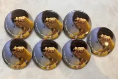 るぅとくん 実写缶バッジ7個セット(バラ売り可)