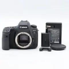 ショット数7883回】 CANON EOS 7D MARK II Y3829 - メルカリ